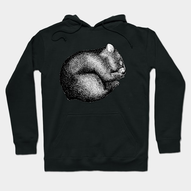 Wombat sleeping Hoodie by AirDrawn